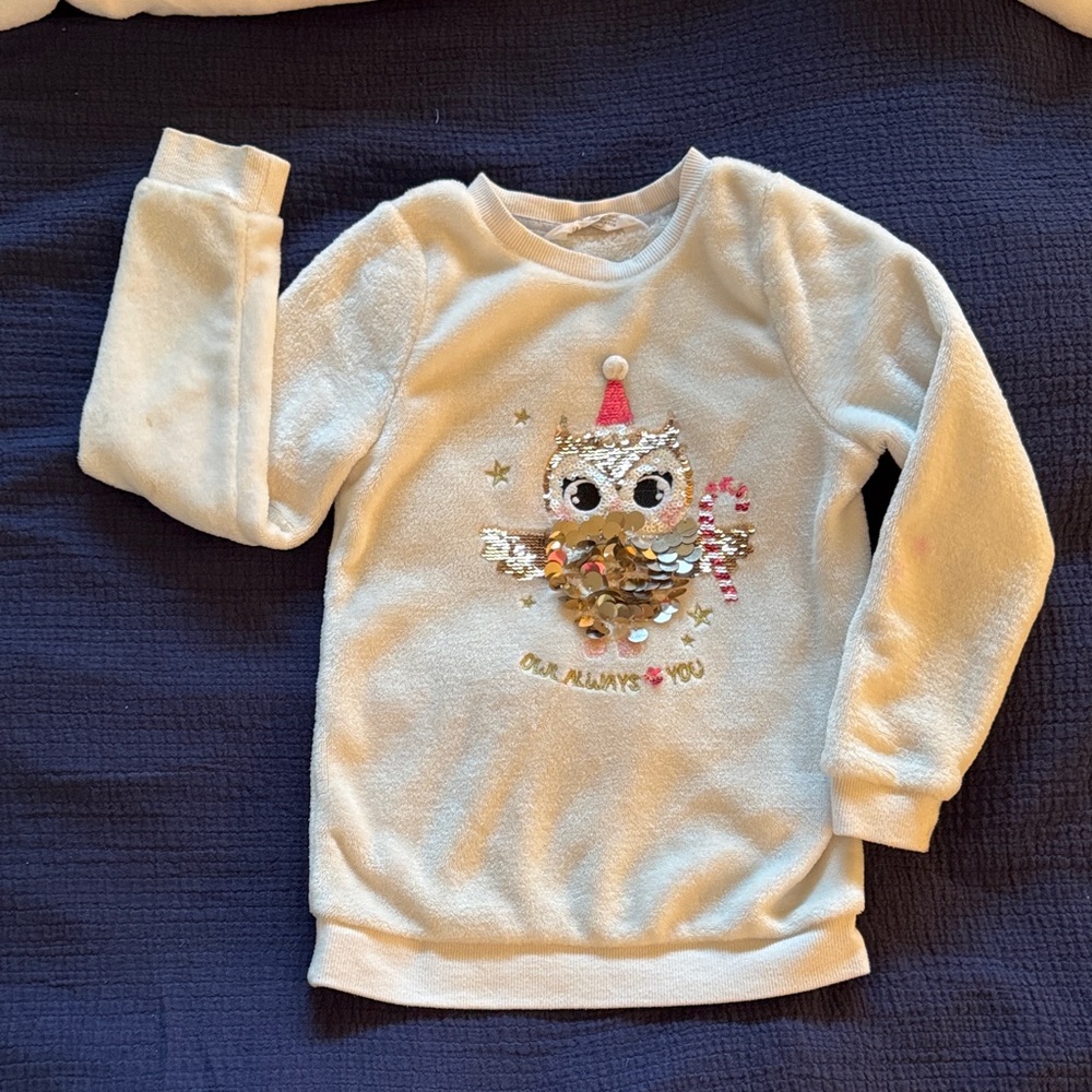H&M Sequin Owl Sweatshirt